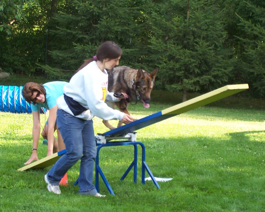 Agility_03.jpg