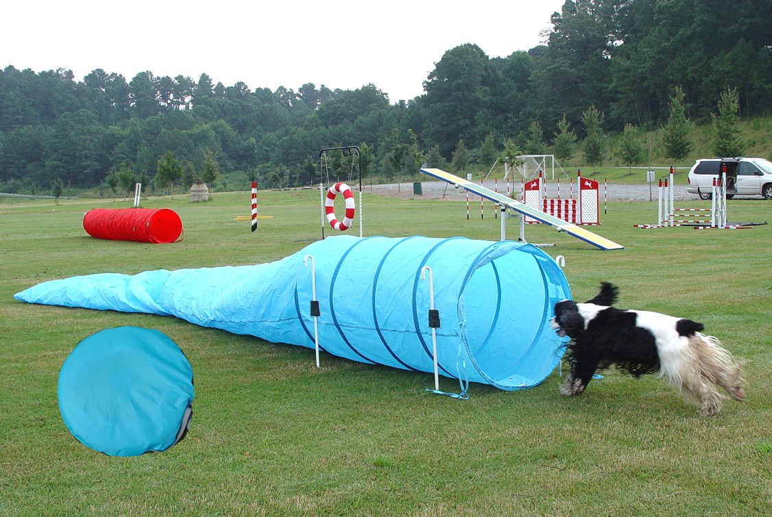 agility_chute_lg.jpg