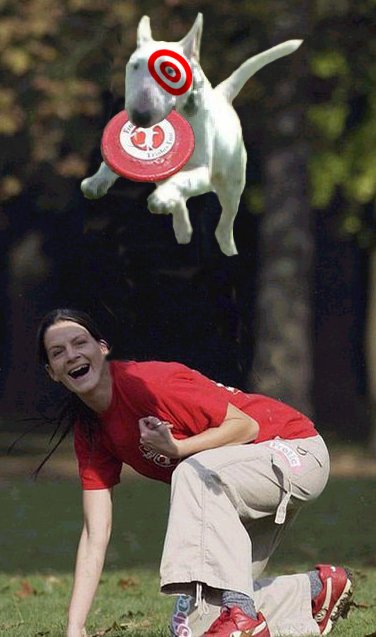 dog frisbee.jpg