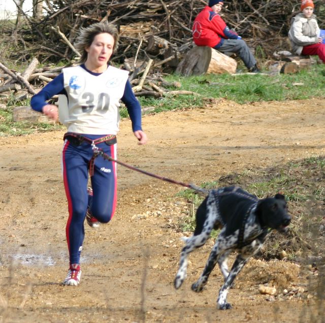 canicross2.jpg